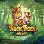 TIGER_TIGER