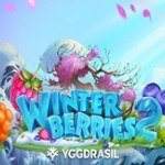 Winterberries 2
